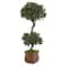 4.5ft. Sweet Bay Magnolia Double Topiary Tree in Metal Planter